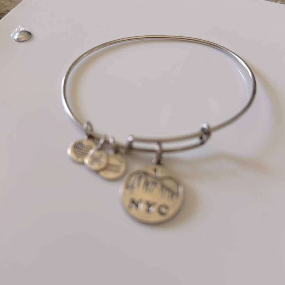 Alex & Ani NYC Charm - Picture 3 of 6